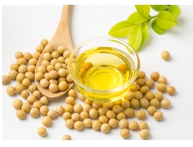 是什么推動了豆油盤面的全線回落，行情后市又該何去何從呢？